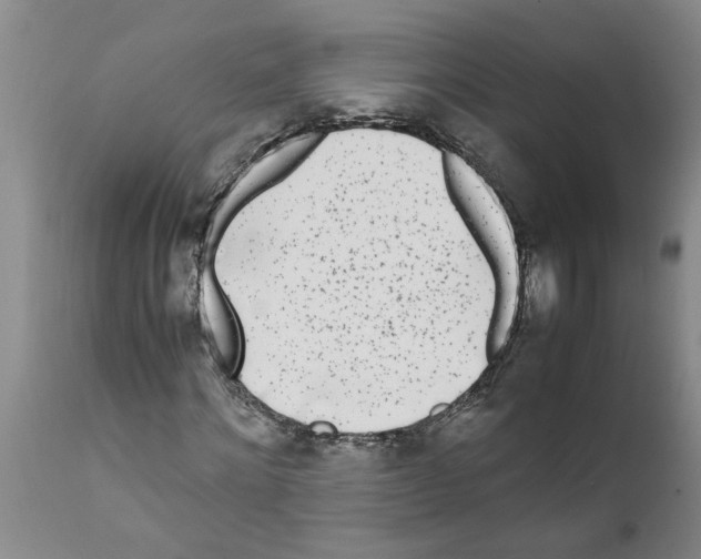 X0000111530868200908251159