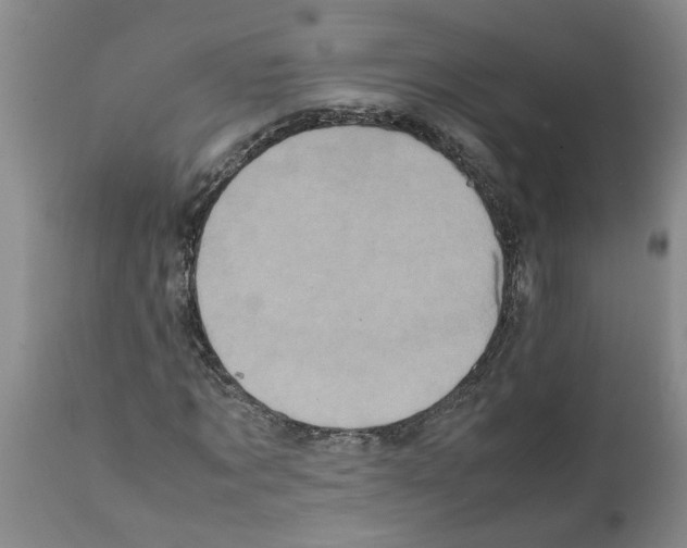 X0000111530869200908251159