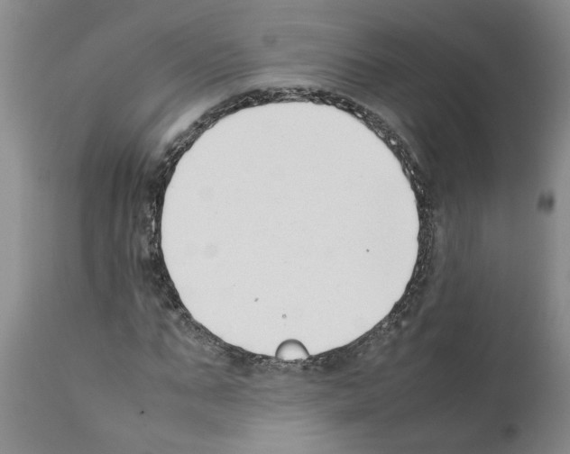 X0000111530871200908251159