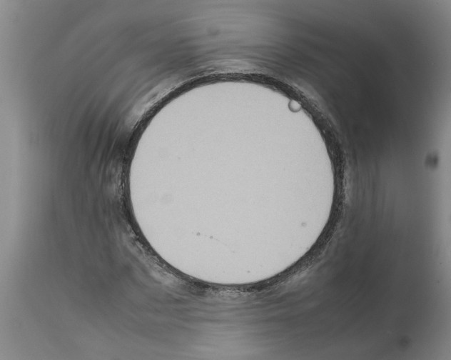 X0000111530873200908251159