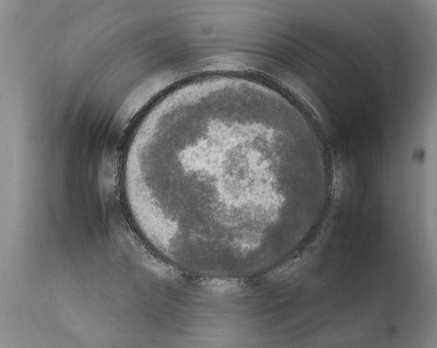 X0000111530874200908251159