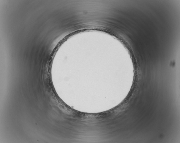 X0000111530875200908251159