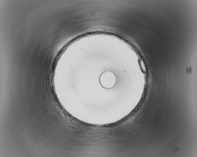 X0000111530877200908251159