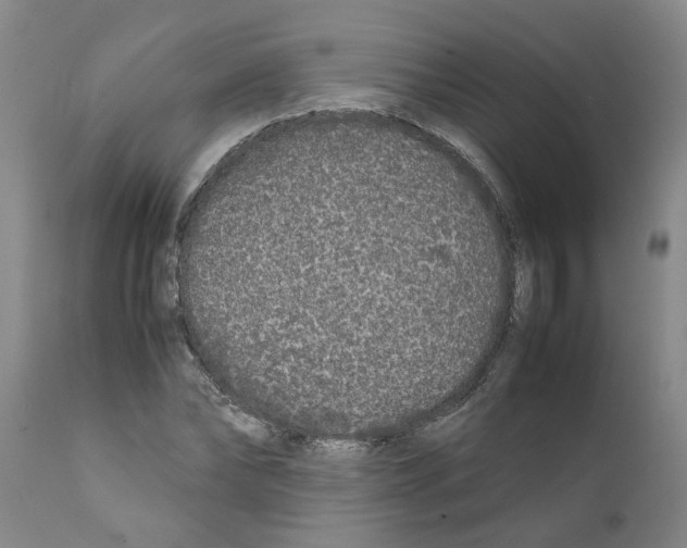 X0000111530878200908251159