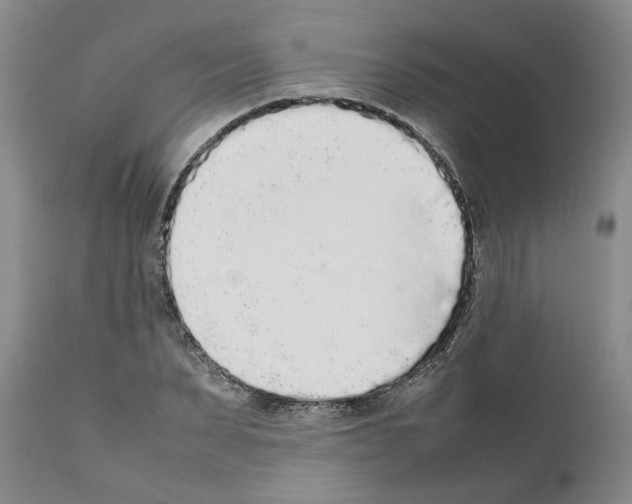 X0000111530879200908251159