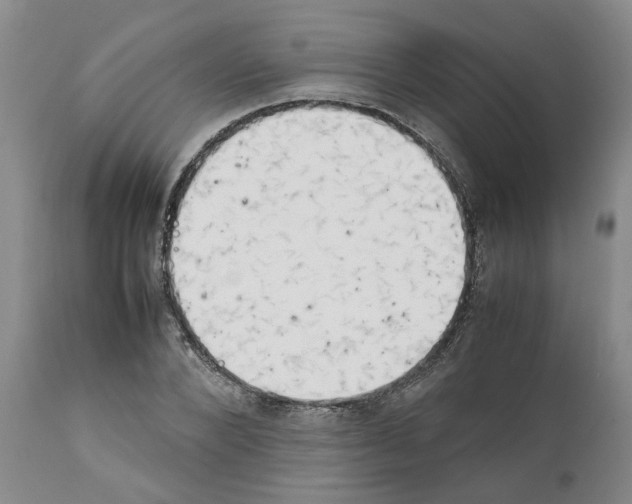 X0000111530880200908251159