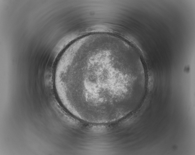 X0000111530882200908251159