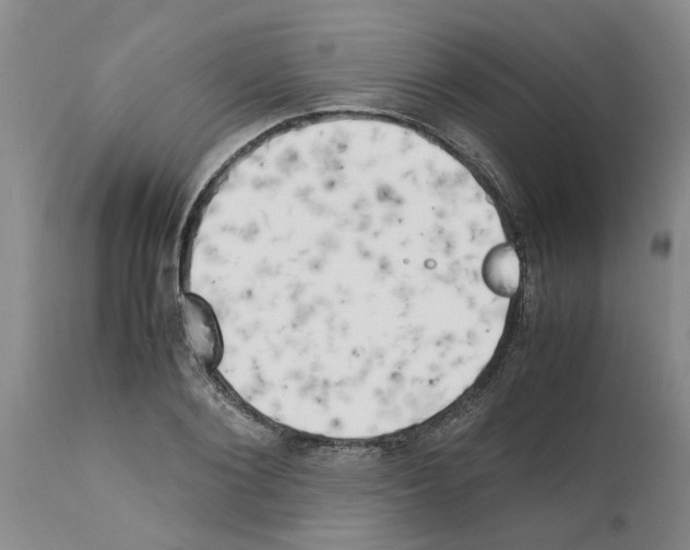 X0000111530884200908251159