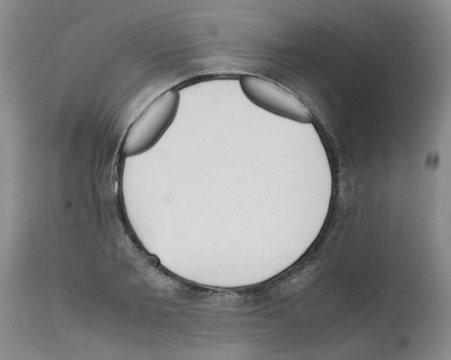 X0000111530885200908251159