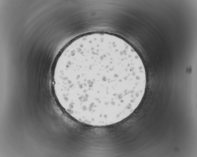 X0000111530888200908251159