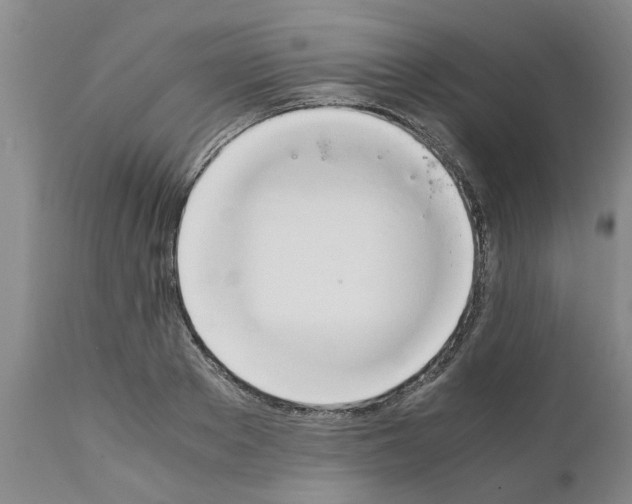 X0000111530889200908251159