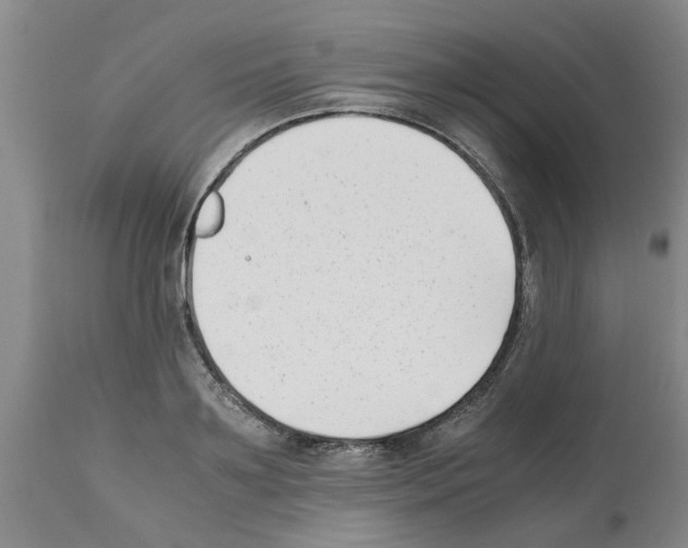 X0000111530891200908251159