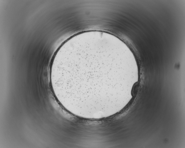 X0000111530892200908251159