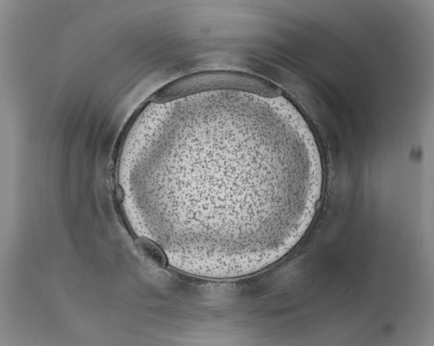 X0000111530893200908251159