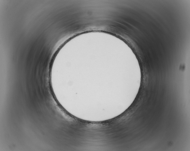 X0000111530894200908251159