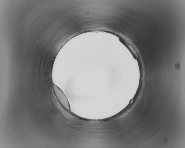 X0000111530897200908251159