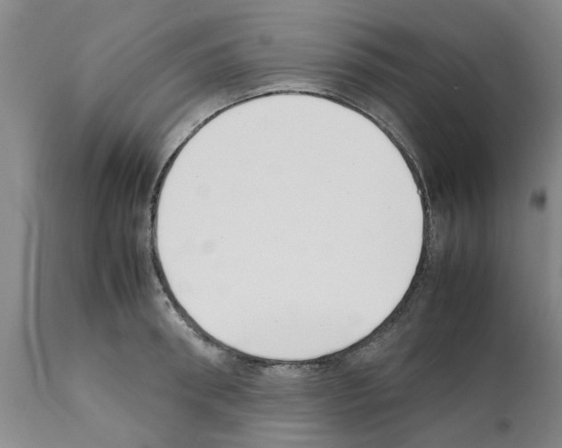 X0000111530898200908251159