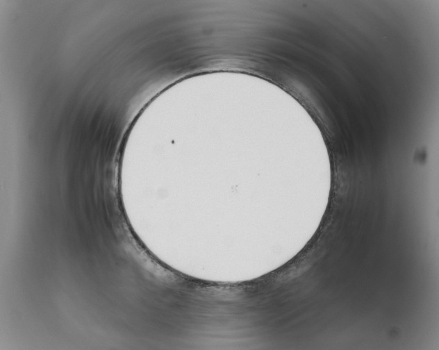 X0000111530900200908251159