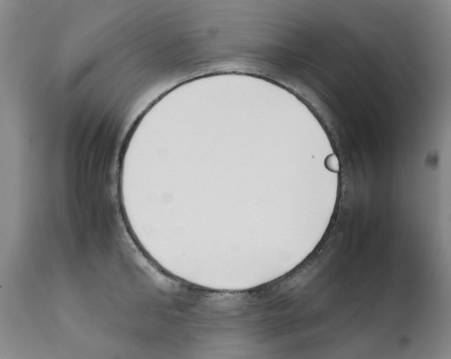 X0000111530902200908251159