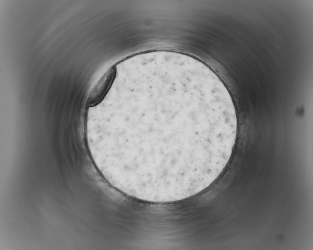 X0000111530904200908251159