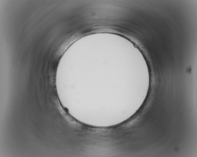 X0000111530905200908251159