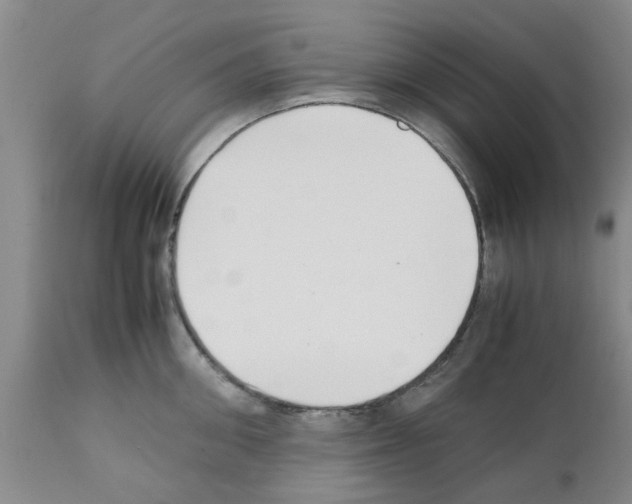 X0000111530906200908251159