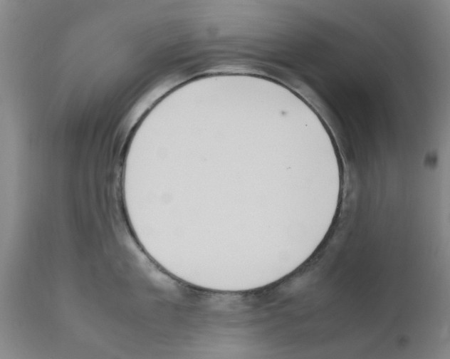 X0000111530909200908251159