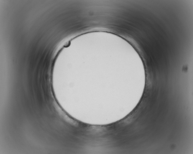 X0000111530910200908251159