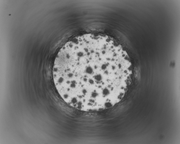 X0000111530915200908251158