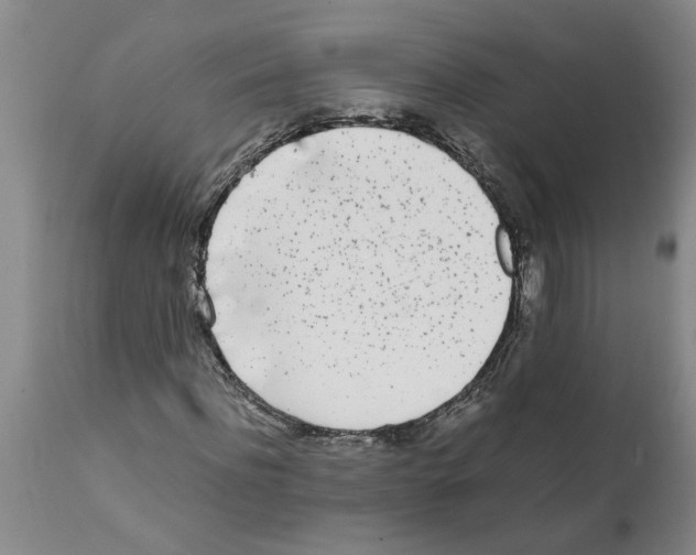 X0000111530916200908251158