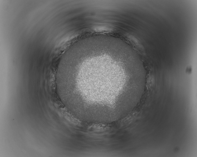 X0000111530917200908251158