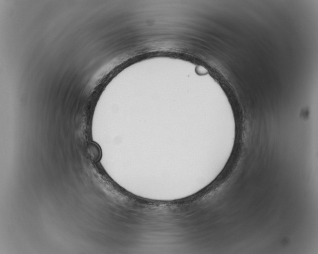 X0000111530922200908251158