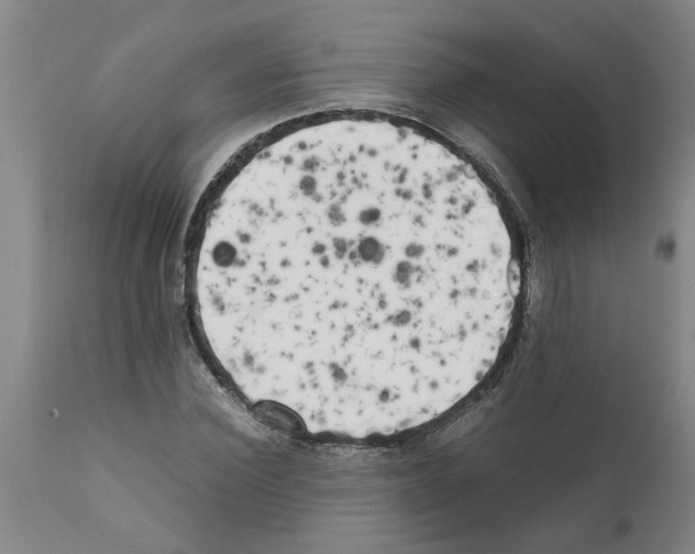 X0000111530924200908251158