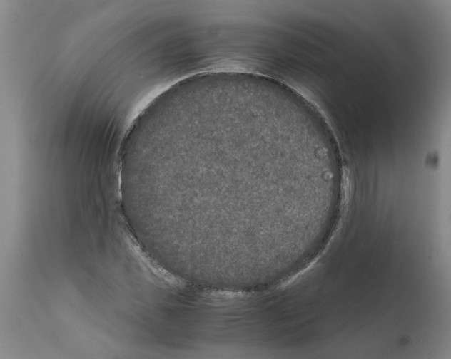 X0000111530925200908251158