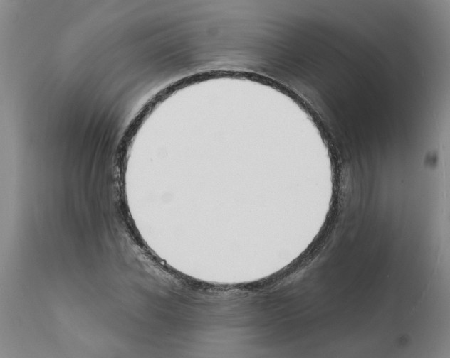 X0000111530926200908251158