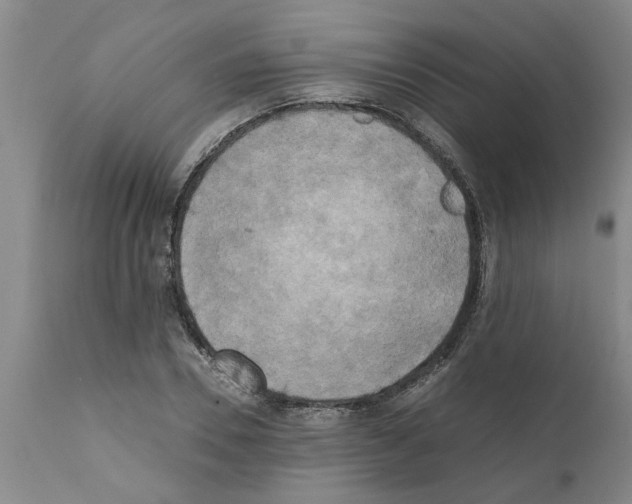 X0000111530930200908251158