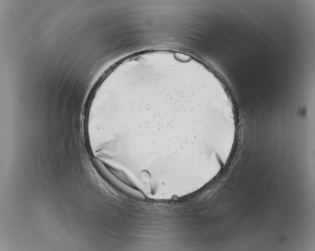 X0000111530932200908251158