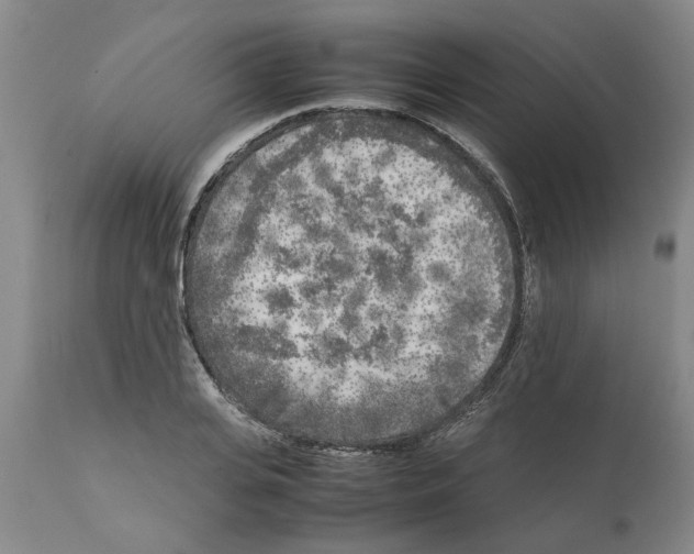 X0000111530935200908251158