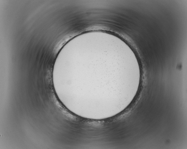 X0000111530937200908251158