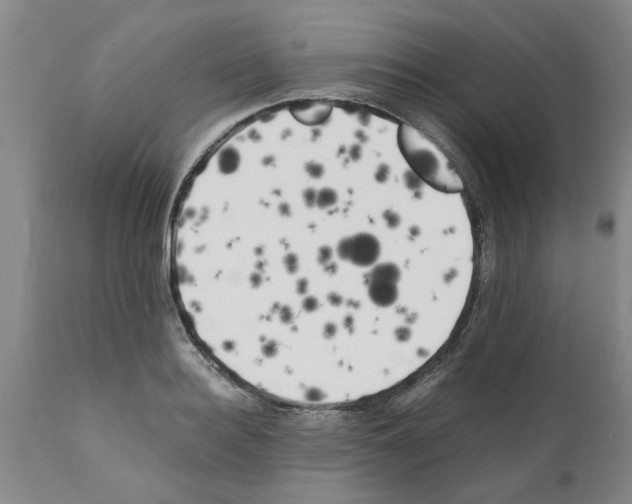 X0000111530940200908251158