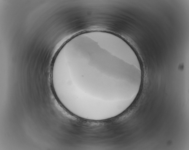 X0000111530941200908251158