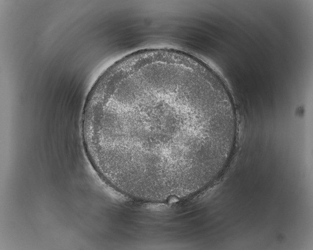 X0000111530943200908251158