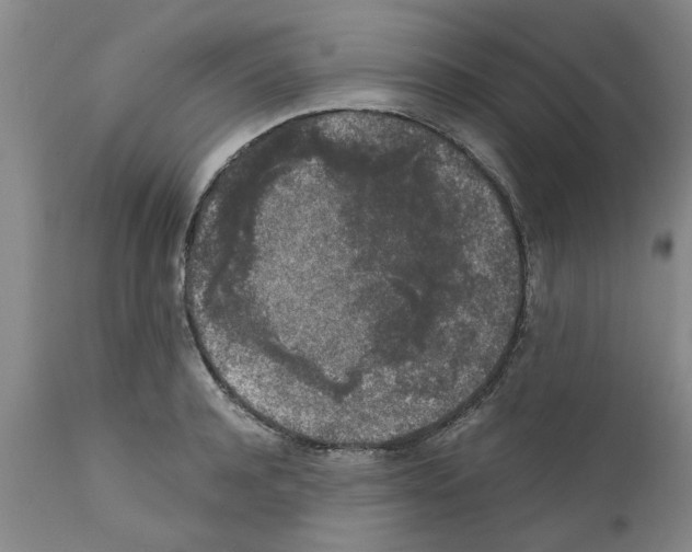 X0000111530944200908251158