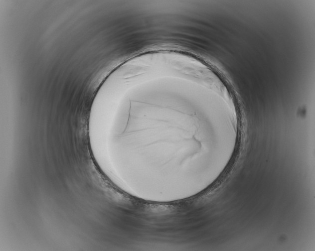 X0000111530945200908251158