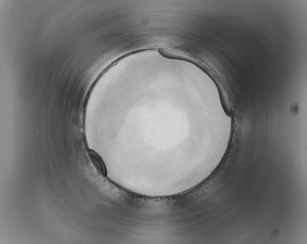 X0000111530948200908251158