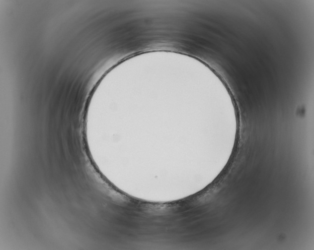 X0000111530949200908251158