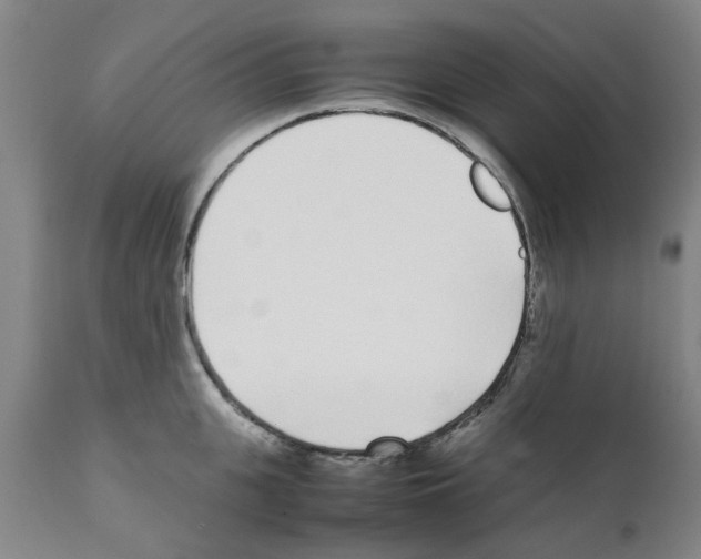 X0000111530951200908251159