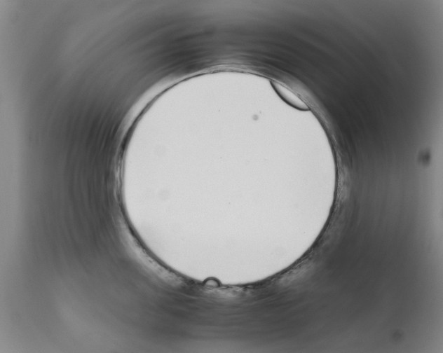 X0000111530955200908251159