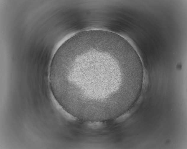 X0000111530957200908251159