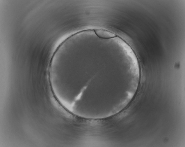 X0000111530958200908251159